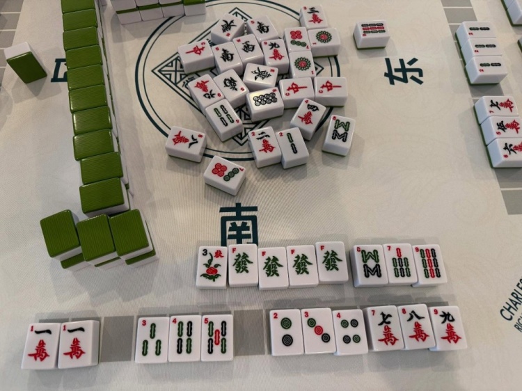 學(xué)習(xí)國(guó)粹！瓦妮莎打起了麻將 這麻將還是外國(guó)特供版